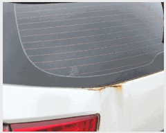  2025Ÿ��12431  �������