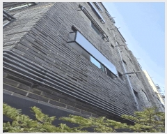  2025Ÿ��9119  �ټ���(����)���