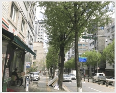  2025Ÿ��9410  �ټ���(����)���