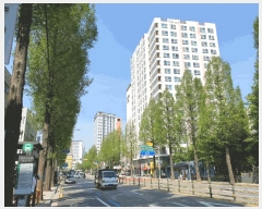  2025Ÿ9468   ȭ 24-92 Ƶ 13 1312ȣ    ǽڰ