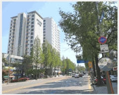  2025Ÿ9468   ȭ 24-92 Ƶ 13 1312ȣ    ǽڰ