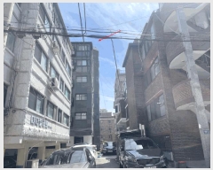  2025Ÿ��9651  �ټ���(����)���