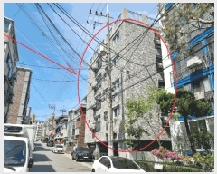  2025Ÿ9659  õ 굿 883-11  5 501ȣ    ټ,