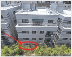  2025Ÿ��10347  �ټ���(����)���