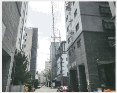  2025Ÿ��10709  ���ǽ��ڰ��