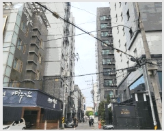  2025Ÿ��10709  ���ǽ��ڰ��