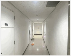  2025Ÿ��11071 ���� ���α� ���ε� 97 ��������2�� ��3�� ��321ȣ    ���ǽ��ڰ��