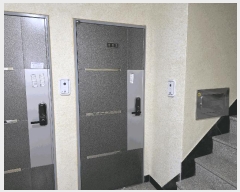  2025Ÿ��11301 ���� ��õ�� ���굿 892-12 �ѳ��� ��2�� ��202ȣ    �ټ���,������