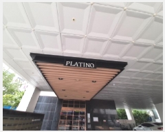  2025Ÿ��11369  ���ǽ��ڰ��