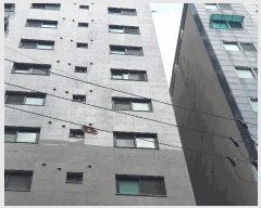  2025Ÿ��11493  ���ǽ��ڰ��