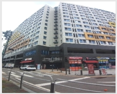  2025Ÿ��11713  ���ǽ��ڰ��