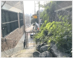  2025Ÿ��12203 ���� ������ ȭ� 351-1 1��101ȣ      �ټ���,������