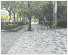  2025Ÿ��12516 ���� ������ ��ȭ�� 274-2 �������̿��Ӹ��� ��10�� ��1003ȣ    �ټ���,������