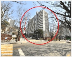  2025Ÿ12150   ߰赿 369 ߰2ְƮ 210 141406ȣ    Ʈ