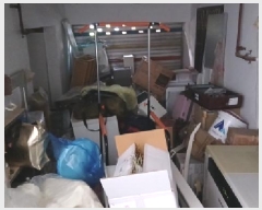  2025Ÿ��12205  �ٰ������ð��