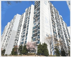  2025Ÿ12229  빮 û 60 ѽžƮ 108 111109ȣ    Ʈ