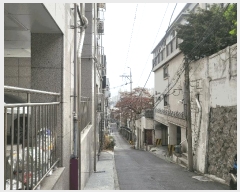  2025Ÿ12302  ϱ  206-168 ĳ 101 2202ȣ    ټ,