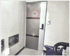  2025Ÿ��12495  ���ǽ��ڰ��