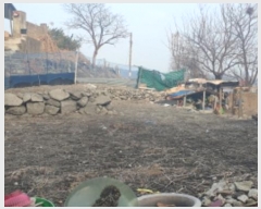  2025Ÿ��10294 ���� ���ϱ� ���ϵ� 213-19       ����(����)���