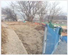  2025Ÿ��10294 ���� ���ϱ� ���ϵ� 213-19       ����(����)���