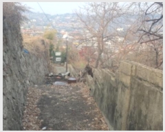  2025Ÿ��10294 ���� ���ϱ� ���ϵ� 213-19       ����(����)���