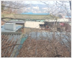  2025Ÿ��10294 ���� ���ϱ� ���ϵ� 213-19       ����(����)���