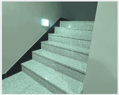  2025Ÿ12095  ߶  393-35 õ 5 502ȣ    ټ,