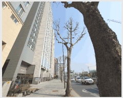  2025Ÿ��12214 ���� ���빮�� ��ʸ��� 497-23 û��Ǫ��������Ƽ ��������Ȱ���õ� 5��515ȣ    ��������Ȱ���ð��