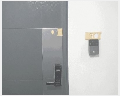  2025Ÿ��12359  �ټ���(����)���