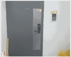  2025Ÿ��12359  �ټ���(����)���