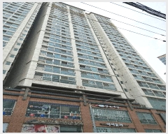  2025Ÿ��785  ����Ʈ���