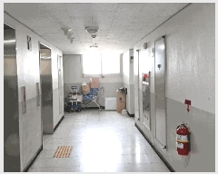  2025Ÿ��785  ����Ʈ���