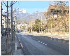  2025Ÿ��12112 ���� ������ �ֹ��� 524-3 ä��� 3�� 301ȣ    �ټ���,������