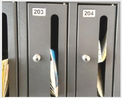  2025Ÿ��12255  �ټ���(����)���