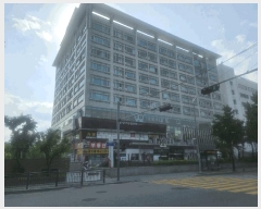  2025Ÿ��1375  ���ǽ��ڰ��