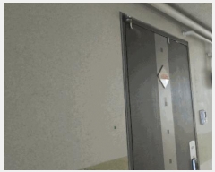  2025Ÿ��1450 ���� ����� ��赿 1258 ���Ǿ� 10��1028ȣ     ���ǽ��ڰ��