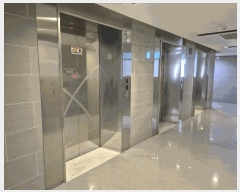  2025Ÿ��1948 ���� �߶��� ����� 500 ��� �����̾ ���� ���̵� 14��1405ȣ  ����Ʈ���