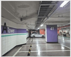  2025Ÿ��1948 ���� �߶��� ����� 500 ��� �����̾ ���� ���̵� 14��1405ȣ  ����Ʈ���