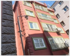  2025Ÿ11845  ϱ  486-729 4402ȣ      ټ,