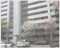  2025Ÿ12200   赿 173-1 Ʈ 103 11 1101ȣ   Ʈ