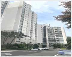  2025Ÿ12719  빮 ̹ 425 ̹Ｚ̾ȾƮ 104 8 803ȣ   Ʈ