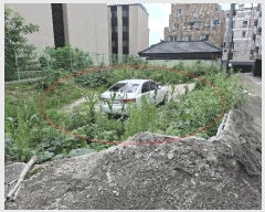  2025Ÿ12869  ϱ ̾Ƶ 1367-1       ()