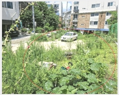  2025Ÿ12869  ϱ ̾Ƶ 1367-1       ()