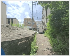  2025Ÿ12869  ϱ ̾Ƶ 1367-1       ()