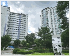  2025Ÿ12958   赿 1313 Ƽ4 404 3306ȣ    Ʈ