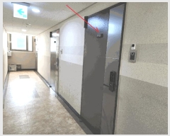  2025Ÿ��13341  ���ǽ��ڰ��