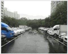  2025Ÿ��13381  ����Ʈ���