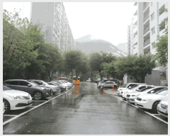  2025Ÿ��13381  ����Ʈ���