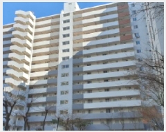  2025Ÿ��11167 ���� ����� ������ 206, ��104�� ��9�� ��903ȣ (������,���ξ���Ʈ)   ����Ʈ���