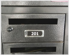  2025Ÿ��12165  �ټ���(����)���